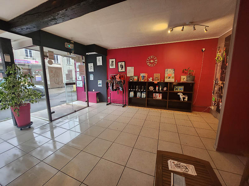 Chien avant toilettage