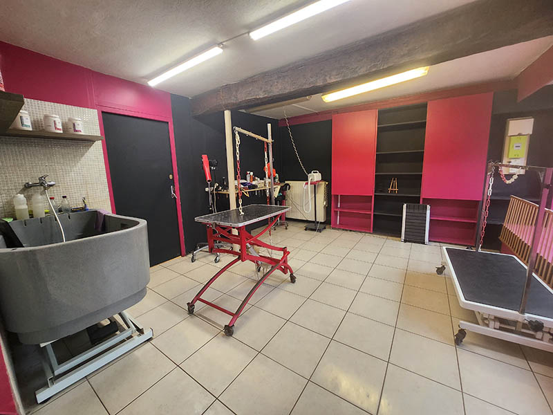 Chien pendant toilettage